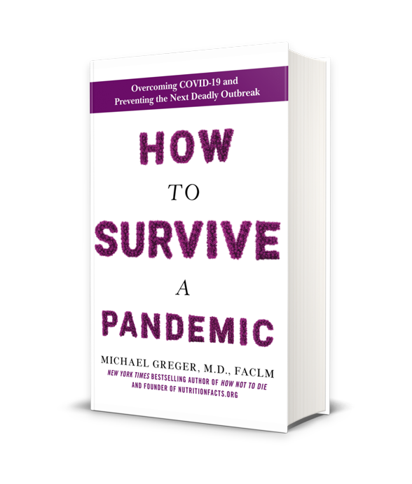 Picture of the book How to Survive a Pandemic