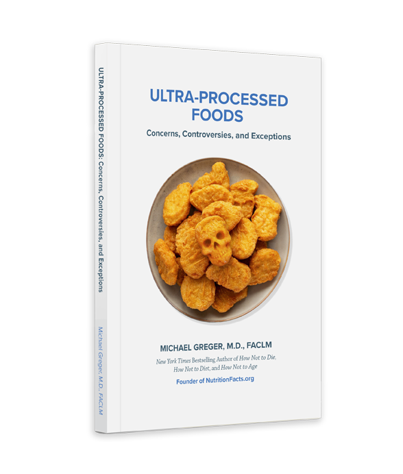 Picture of the book Ultra-Processed Foods: Concerns, Controversies, and Exceptions