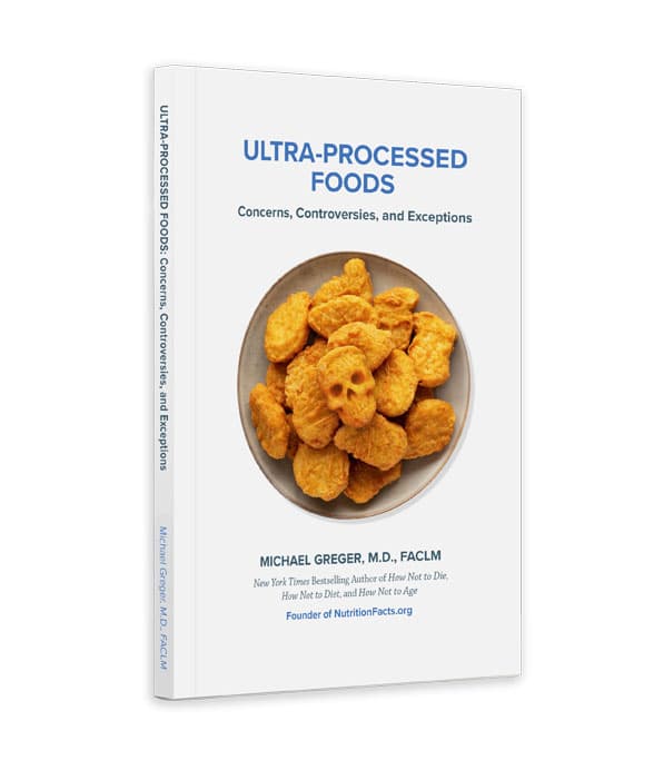 Picture of Ultra-Processed Foods: Concerns, Controversies, and Exceptions