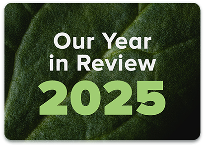 2025 Year in Review