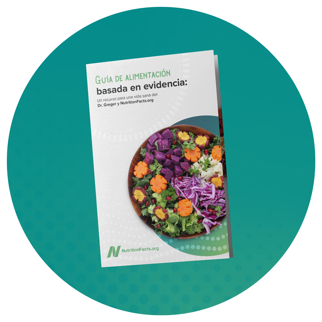 Guía de alimentación basada en la evidencia