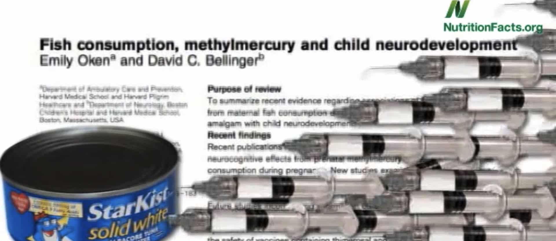 Mercury in Vaccinations vs. Tuna