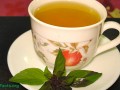 Is Tulsi Tea Good For You?