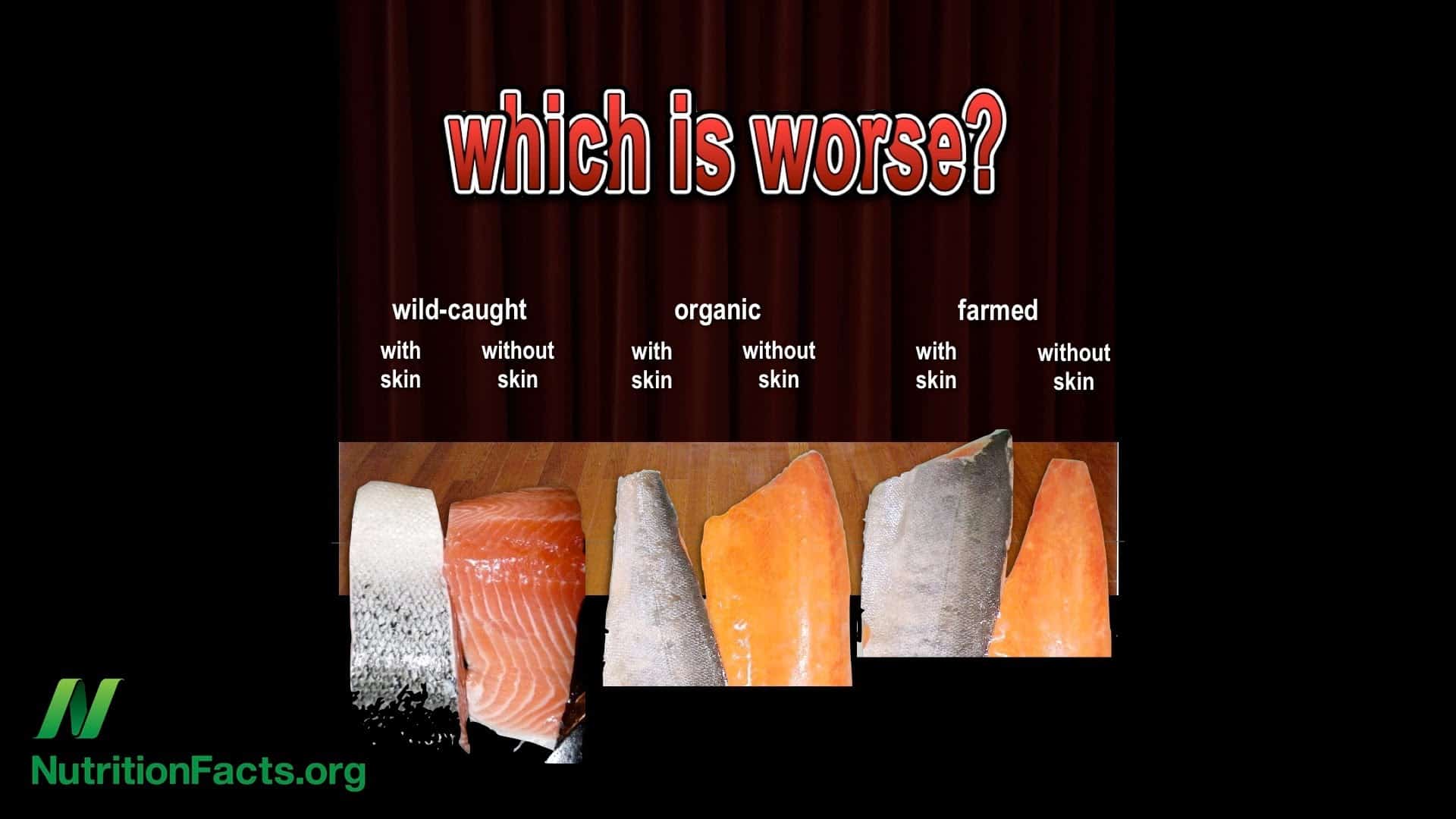 The Problem with Organic Salmon