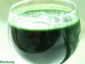 Another Update on Spirulina