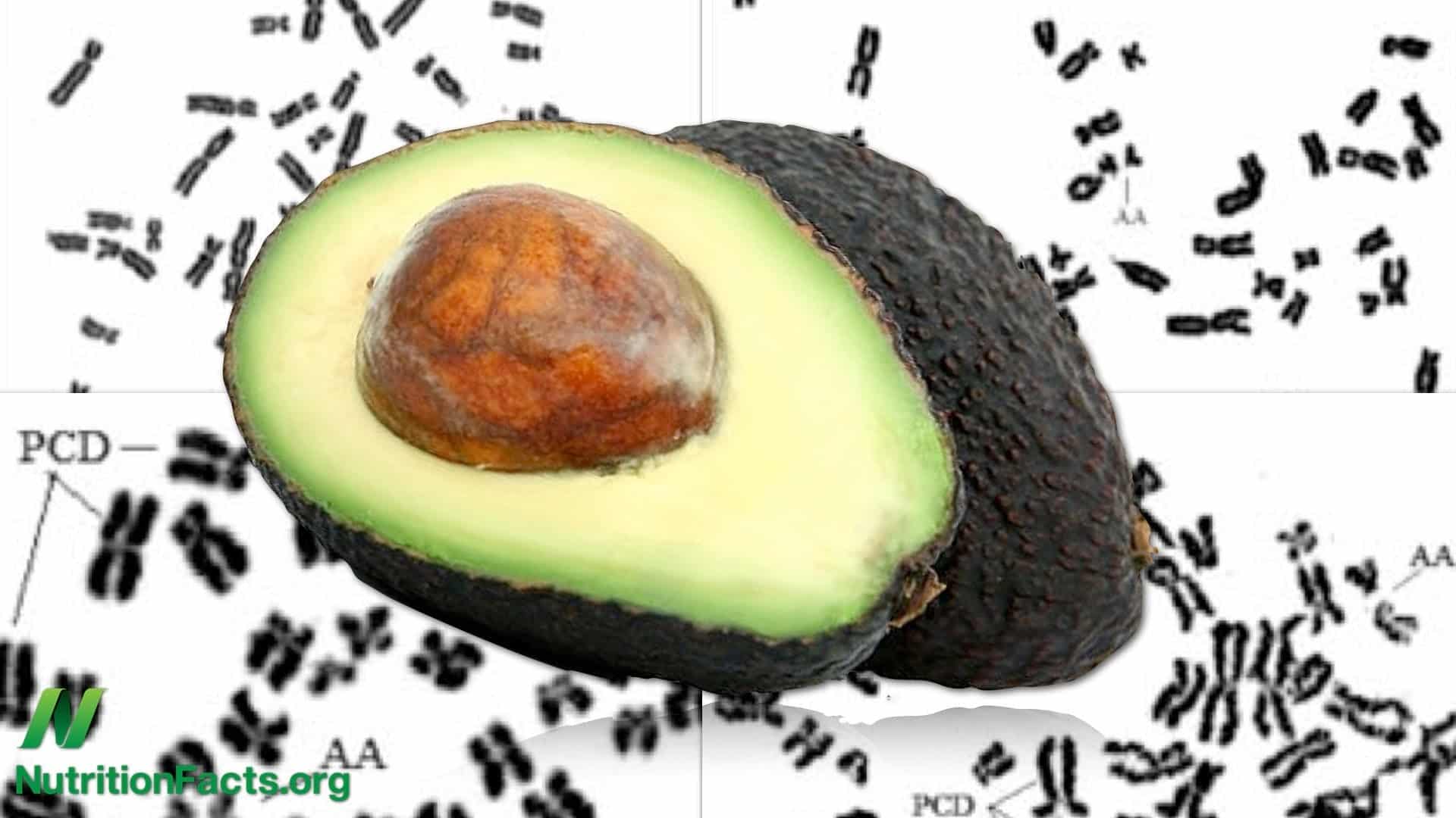 Are Avocados Bad for You?