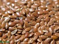 Flax and Fecal Flora