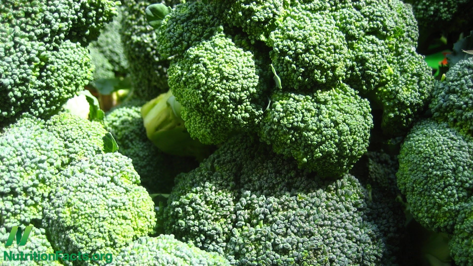 Beneficiile brocoli pentru pierderea în greutate - Alimente sănătoase 