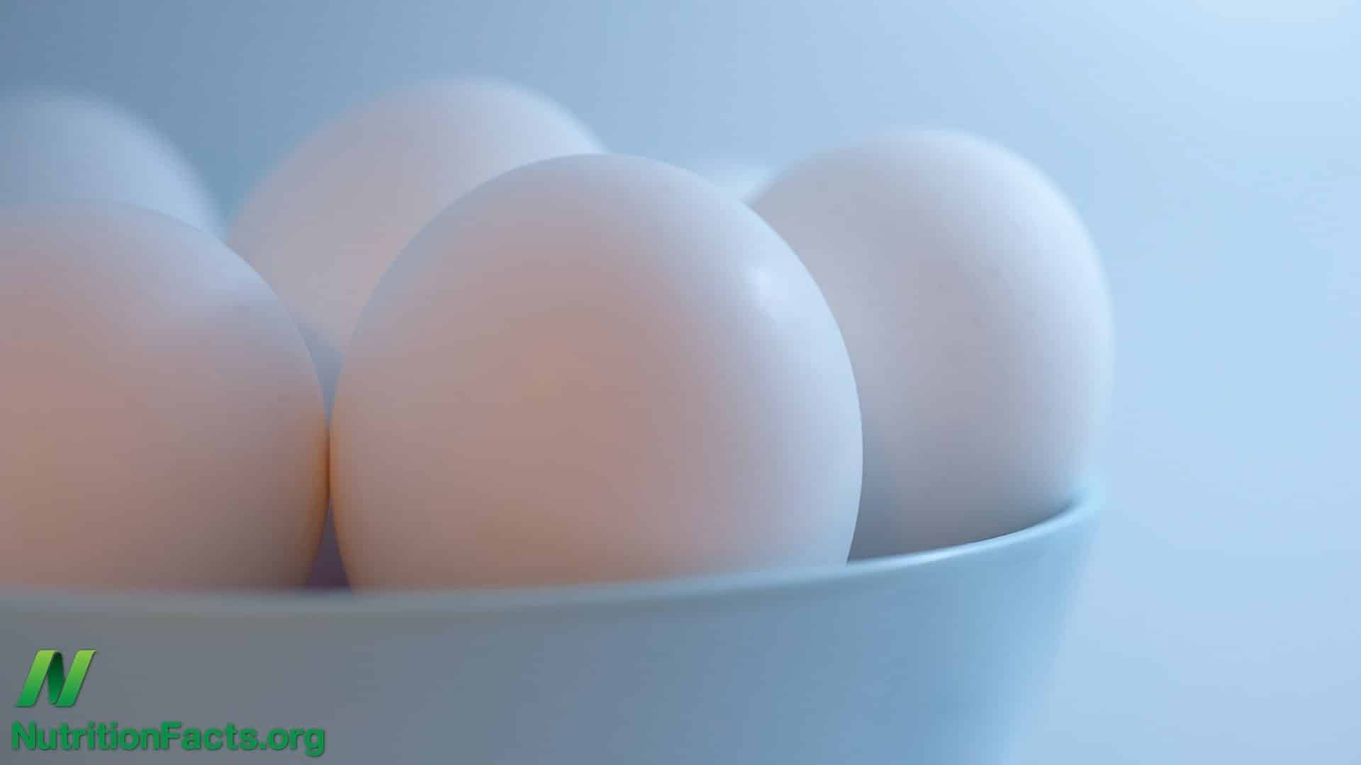 Carcinogenic Retrovirus Found in Eggs