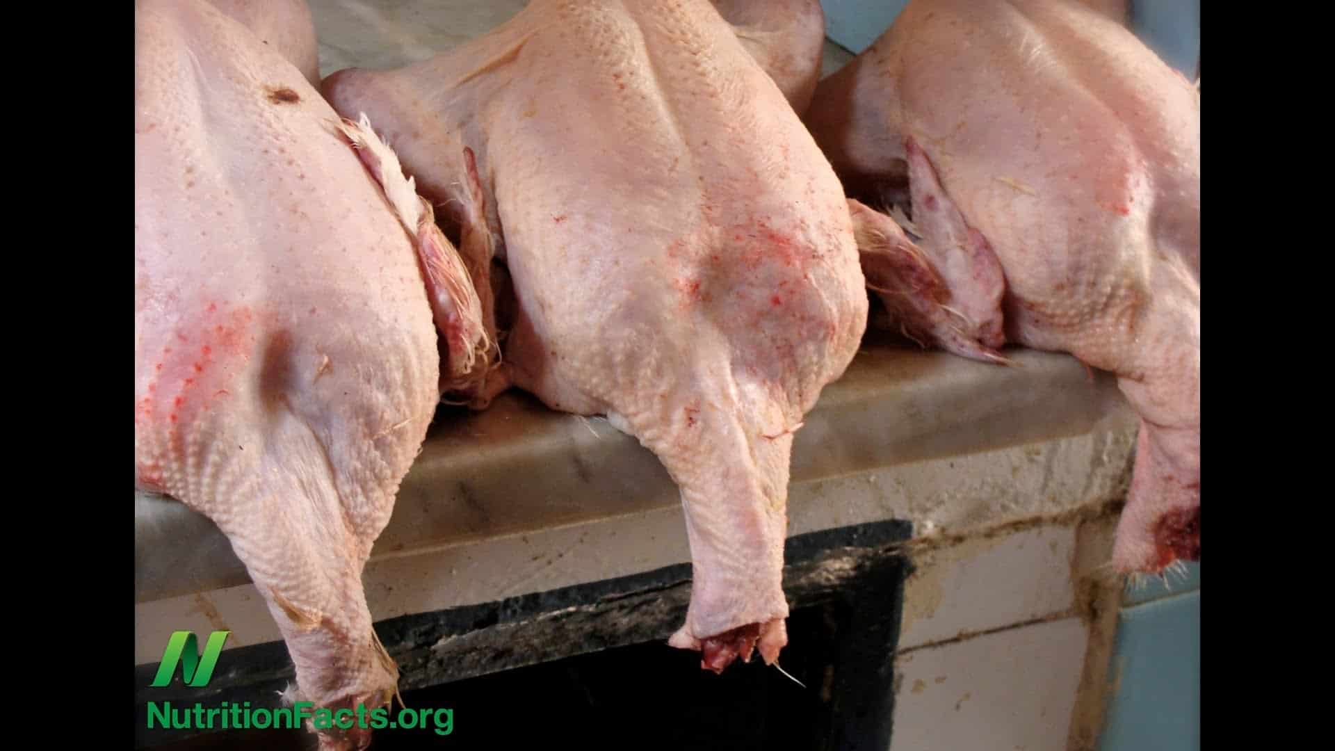 Poultry Exposure and Neurological Disease