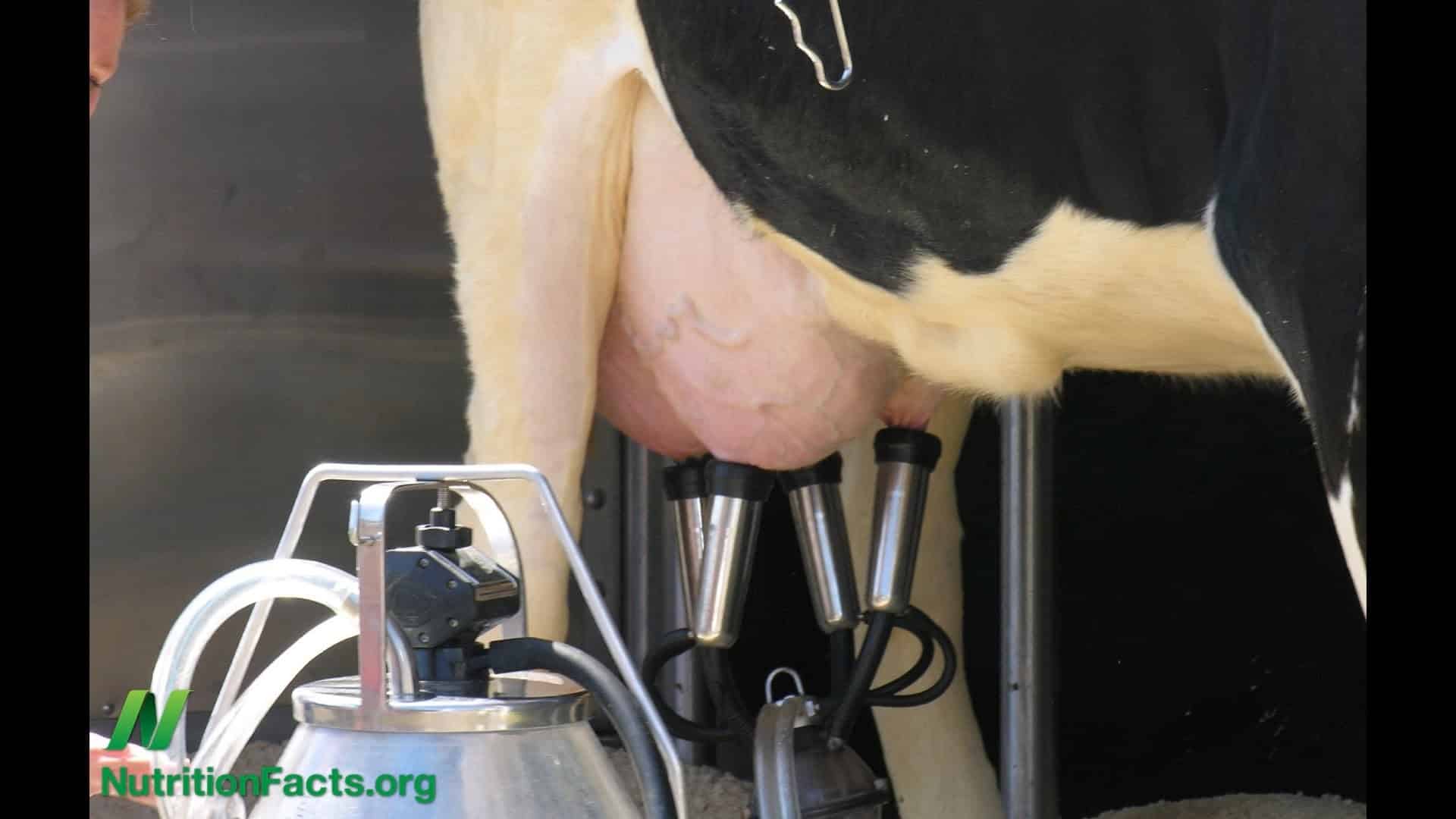 Cow’s Milk Casomorphin and Autism