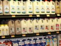 The Acne-Promoting Effects of Milk