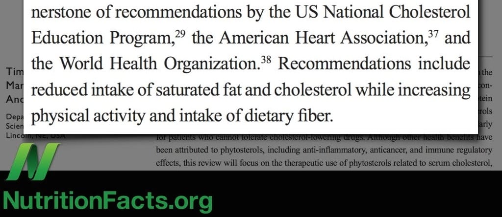 Diet Versus Drugs for High Cholesterol