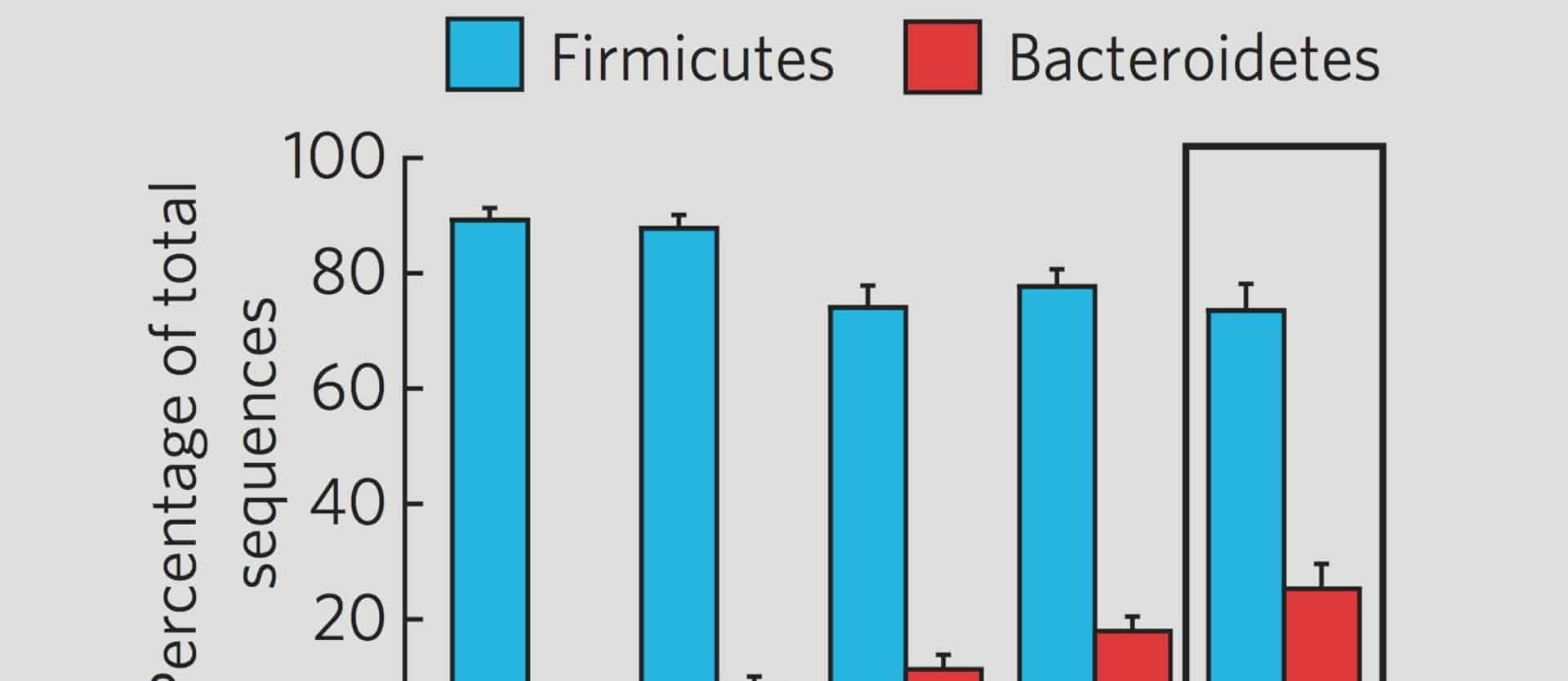 Tipping Firmicutes to Bacteroidetes