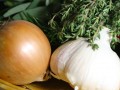 Anticancer Effects of Raw vs Cooked Garlic and Onion