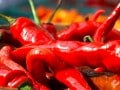 Are Chili Peppers Harmful