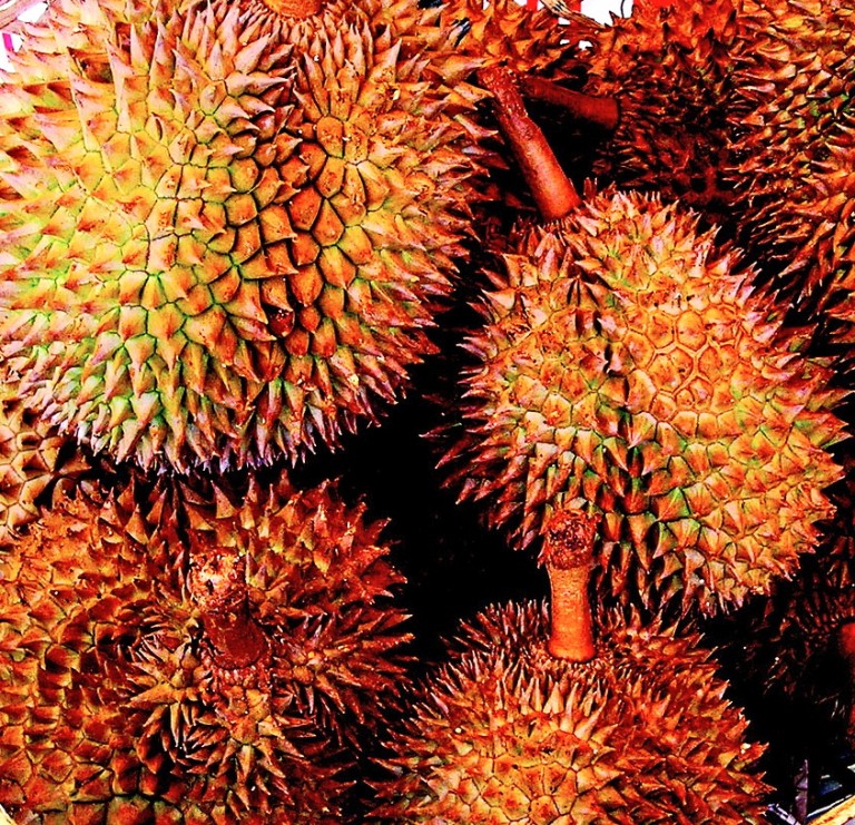 what-do-you-think-of-durian-fruit