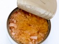 Mercury in Fillings and Canned Tuna