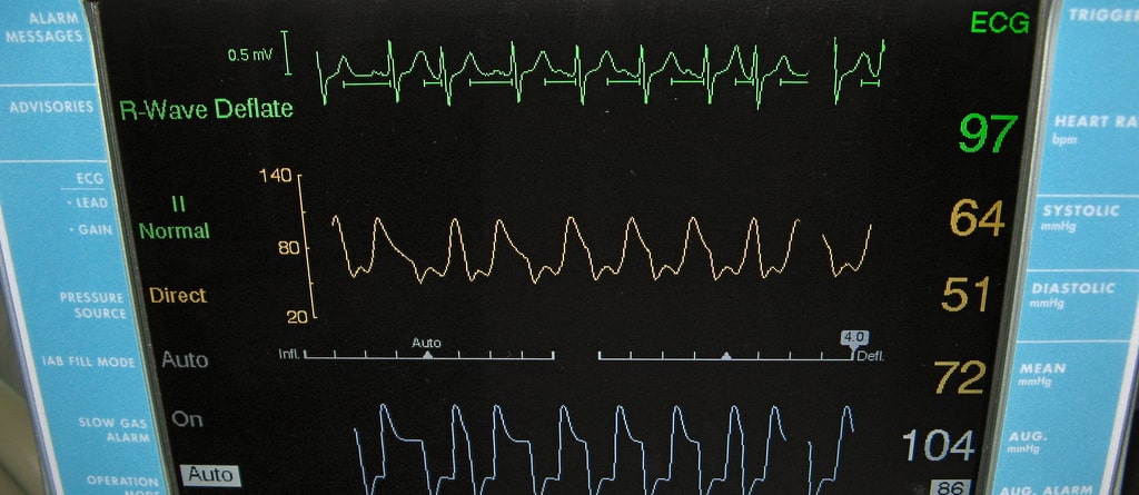 the-connection-between-protein-and-heart-disease