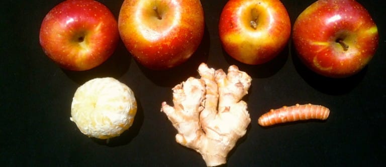 Dr. Greger's Natural Nausea Remedy Recipe