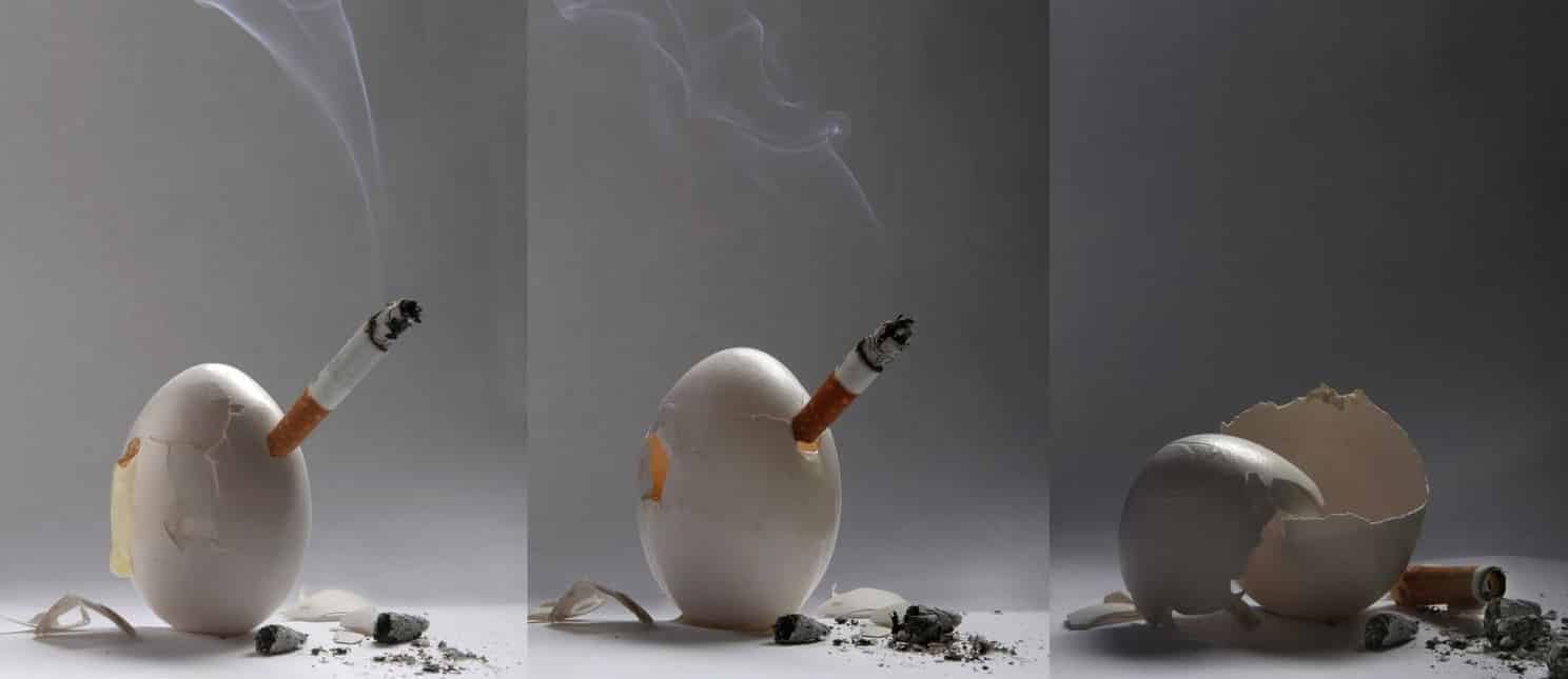 Eggs, Cigarettes, and Atherosclerosis