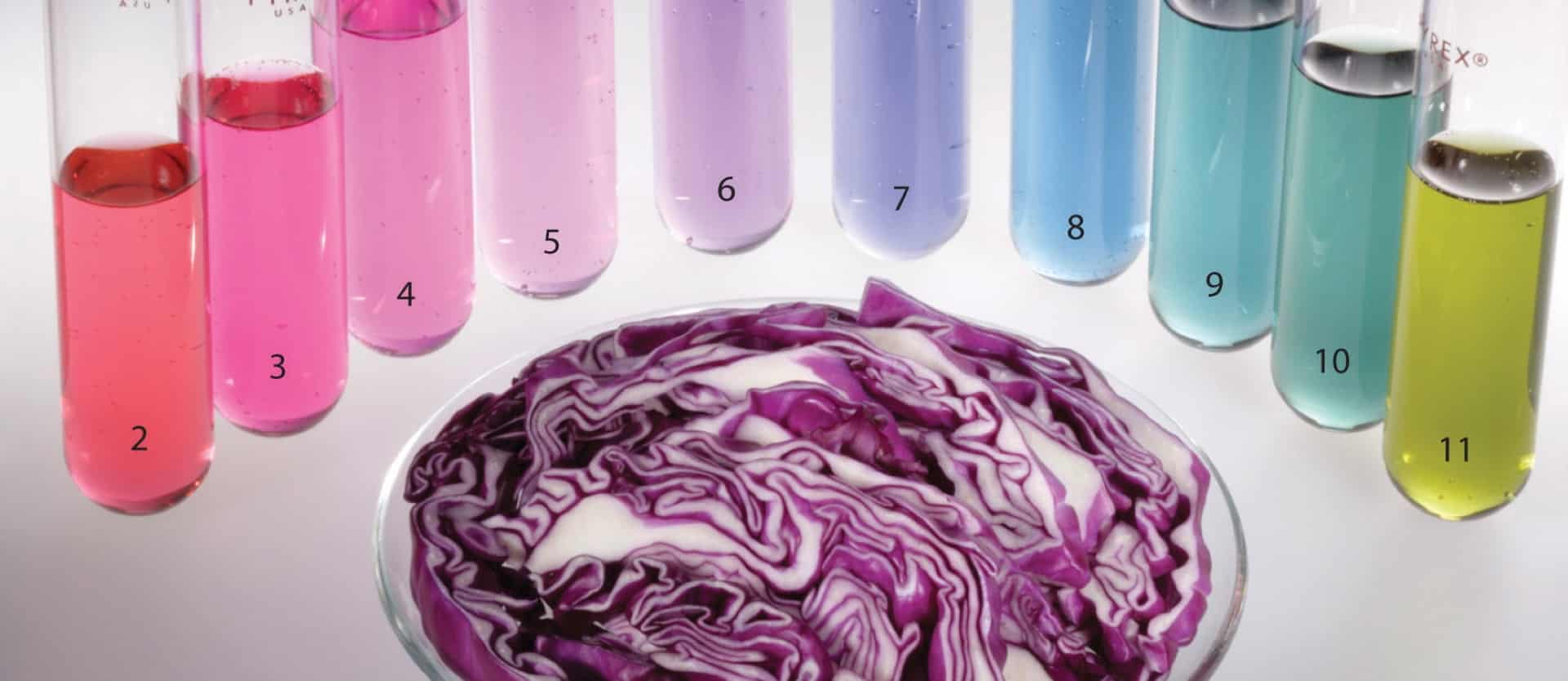 Testing Your Diet with Pee & Purple Cabbage