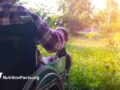 person sitting in wheelchair in a garden