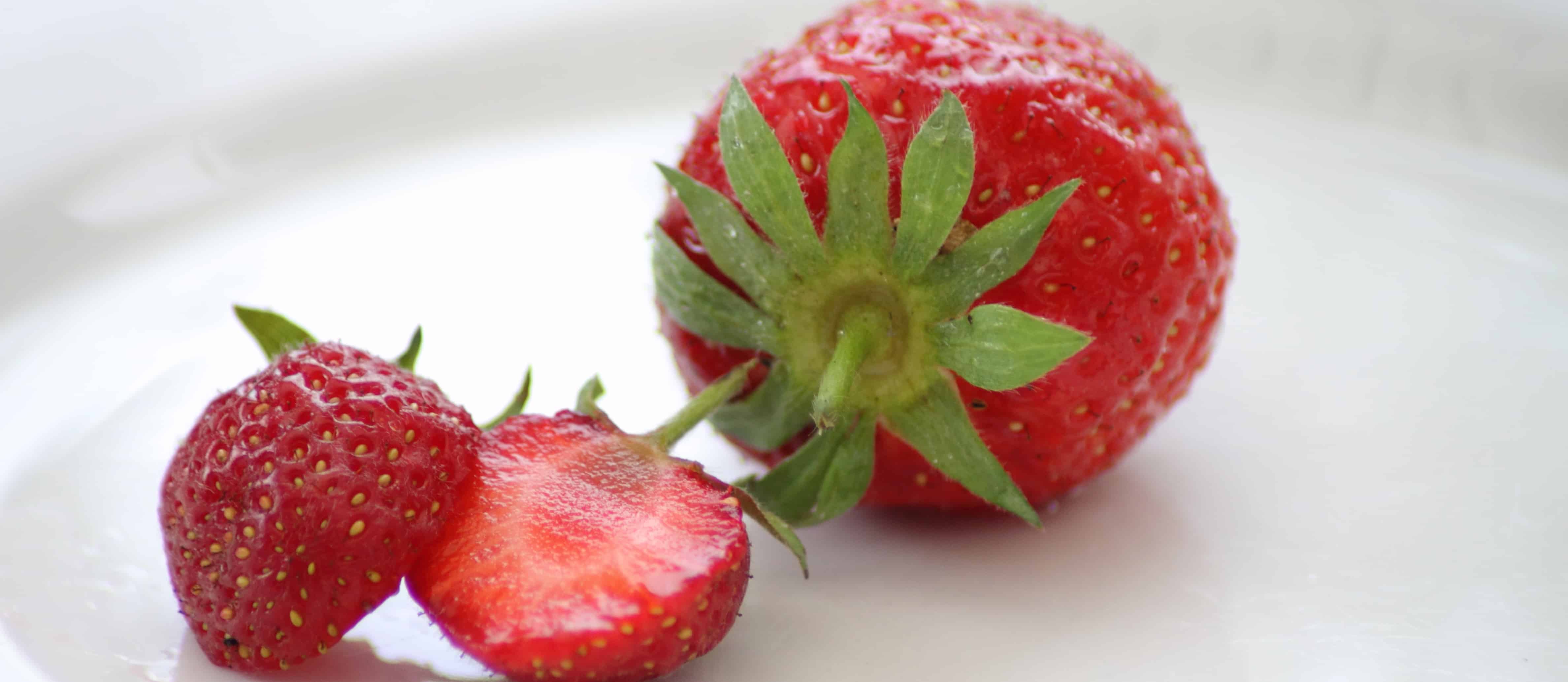 Strawberries Can Reverse Precancerous Progression
