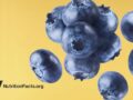 blueberries on a yellow background