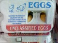 Debunking Egg Industry Myths