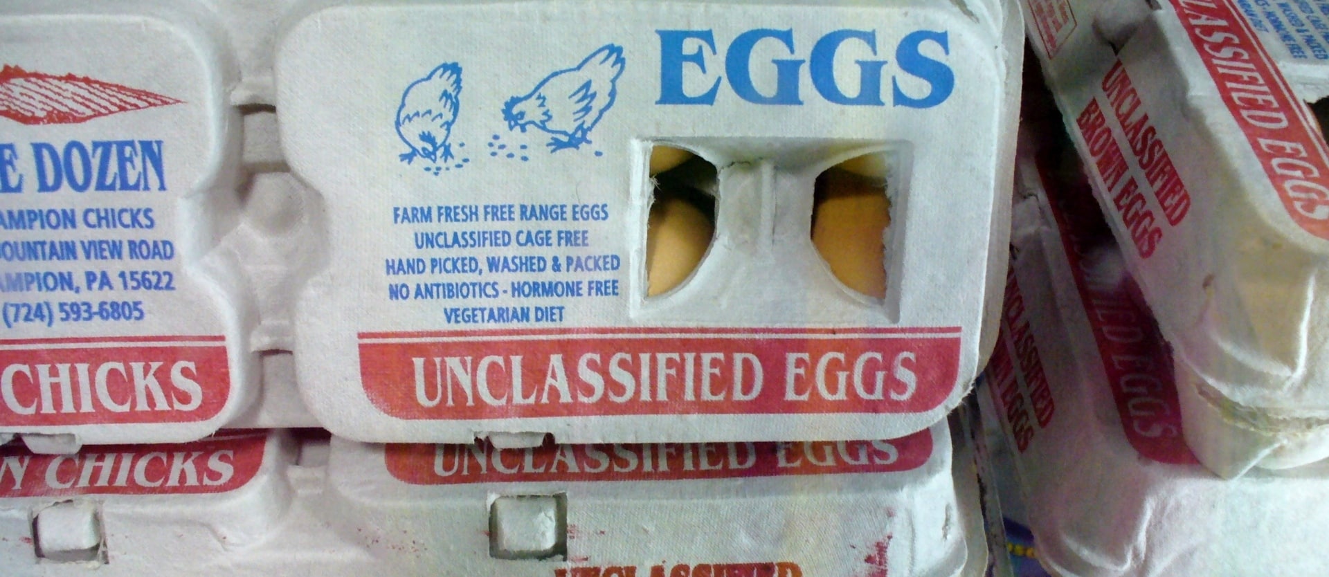 Debunking Egg Industry Myths