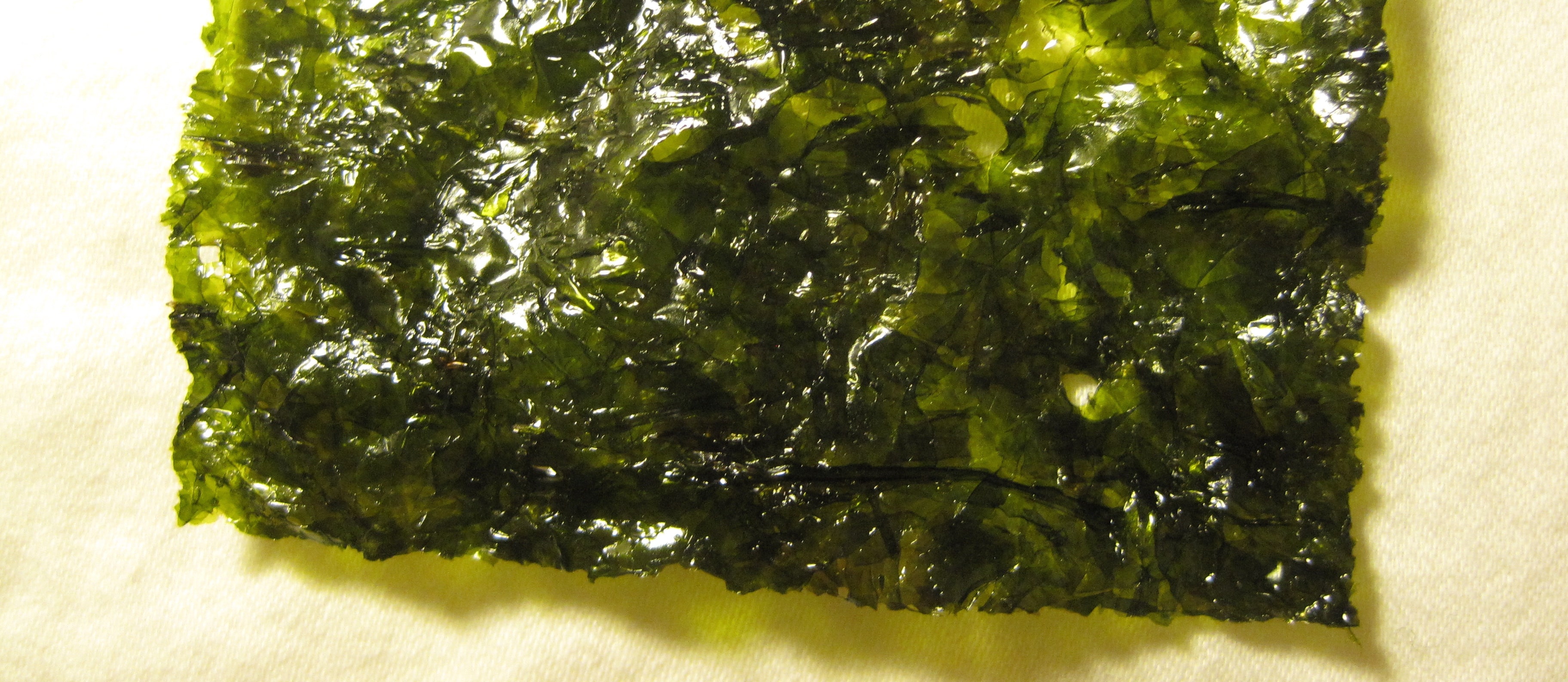 Which Seaweed is Protective Against Cancer?