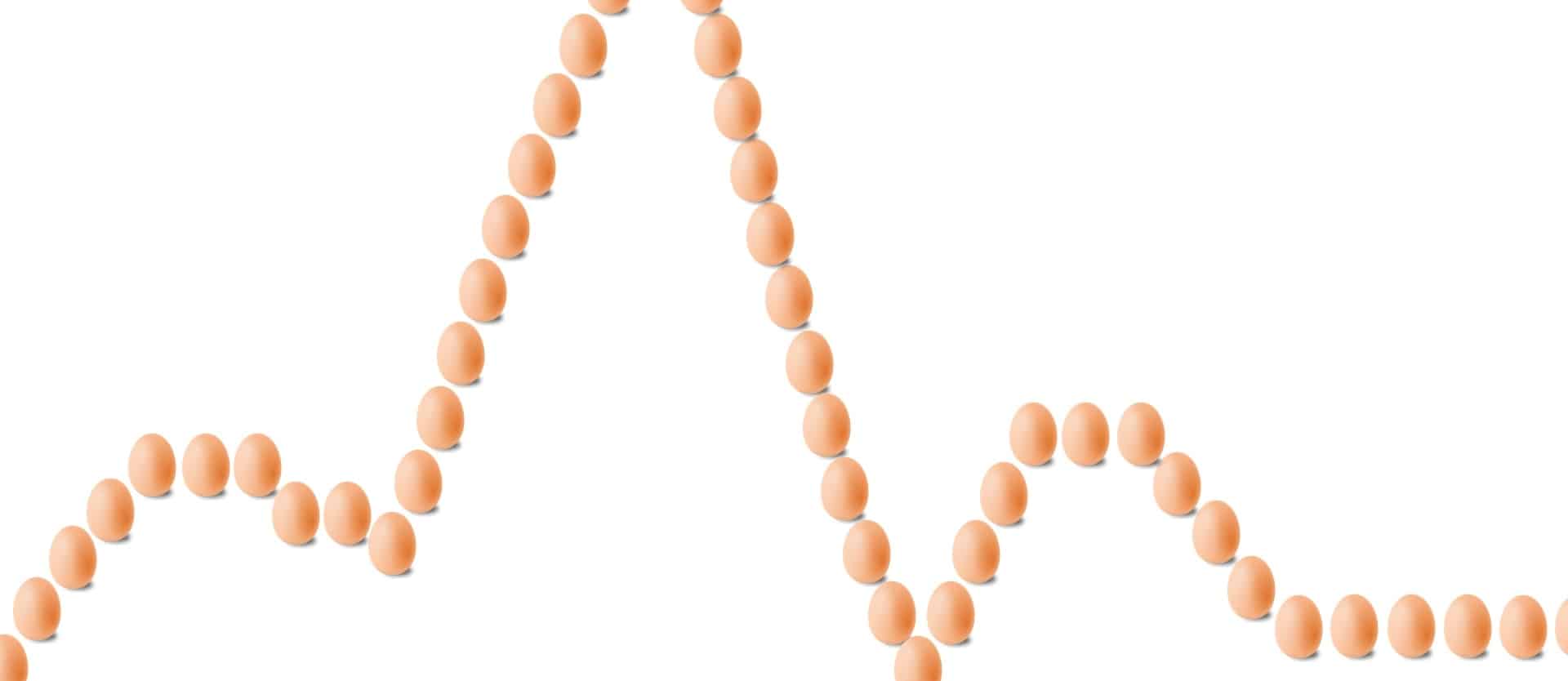 Eggs and Arterial Function