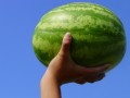 Watermelon for Sore Muscle Relief