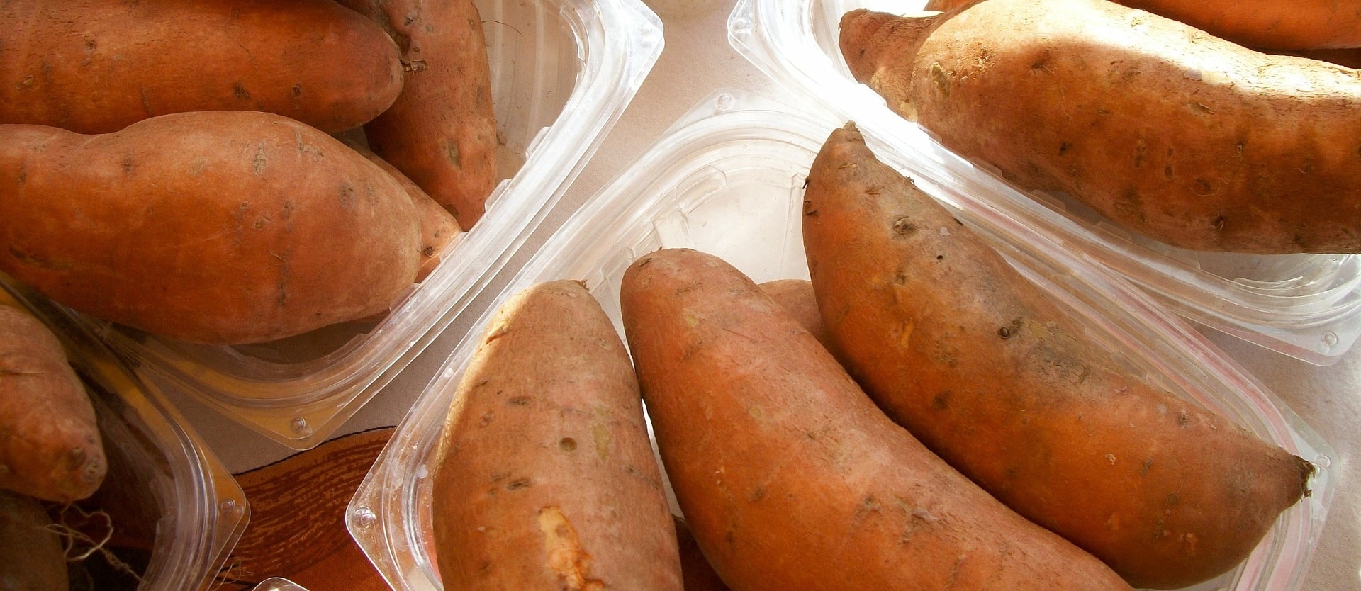 Anti-Cancer Potential of Sweet Potato Proteins
