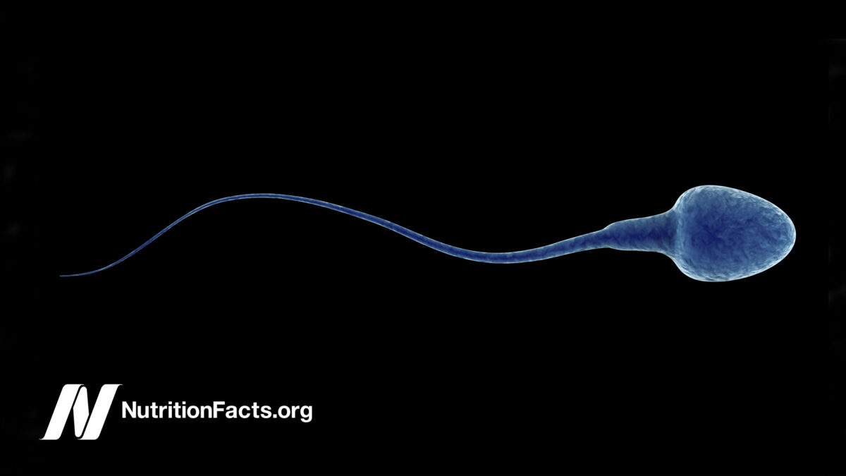 illustration of a sperm on black background