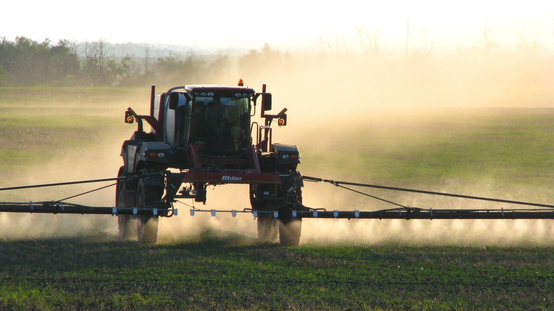 Are GMOs Safe? The Case of Roundup Ready Soy