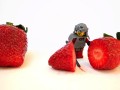 If Fructose is Bad, What About Fruit?