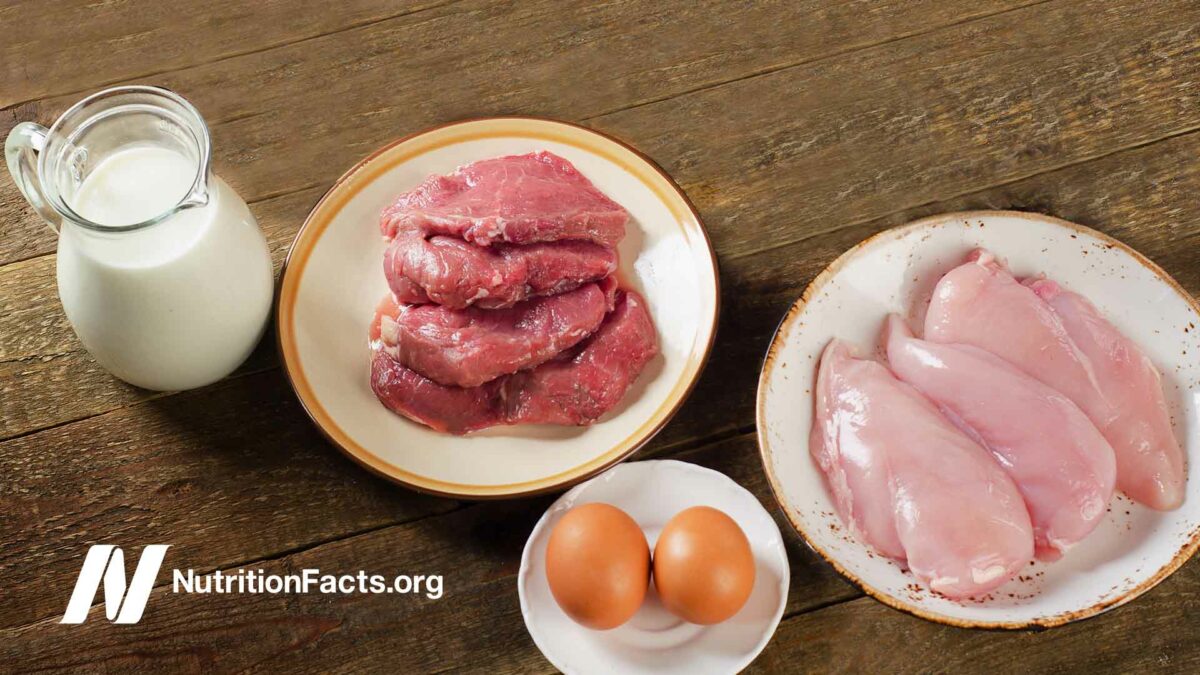 raw meats, eggs, and milk on a table