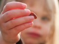 Are Raisins Good Snacks for Kids?