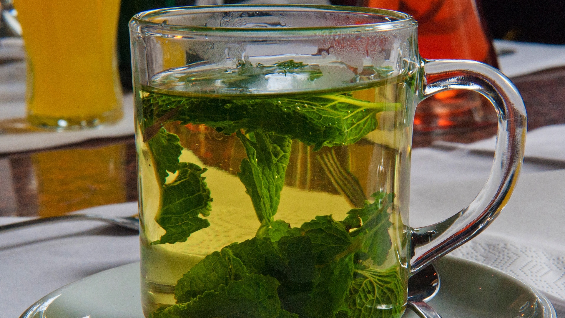 P Grant. Spearmint herbal tea has significant anti-androgen effects in polycystic ovarian syndrome. A randomized controlled trial. Phytother Res. 2010 Feb;24(2):186-8.