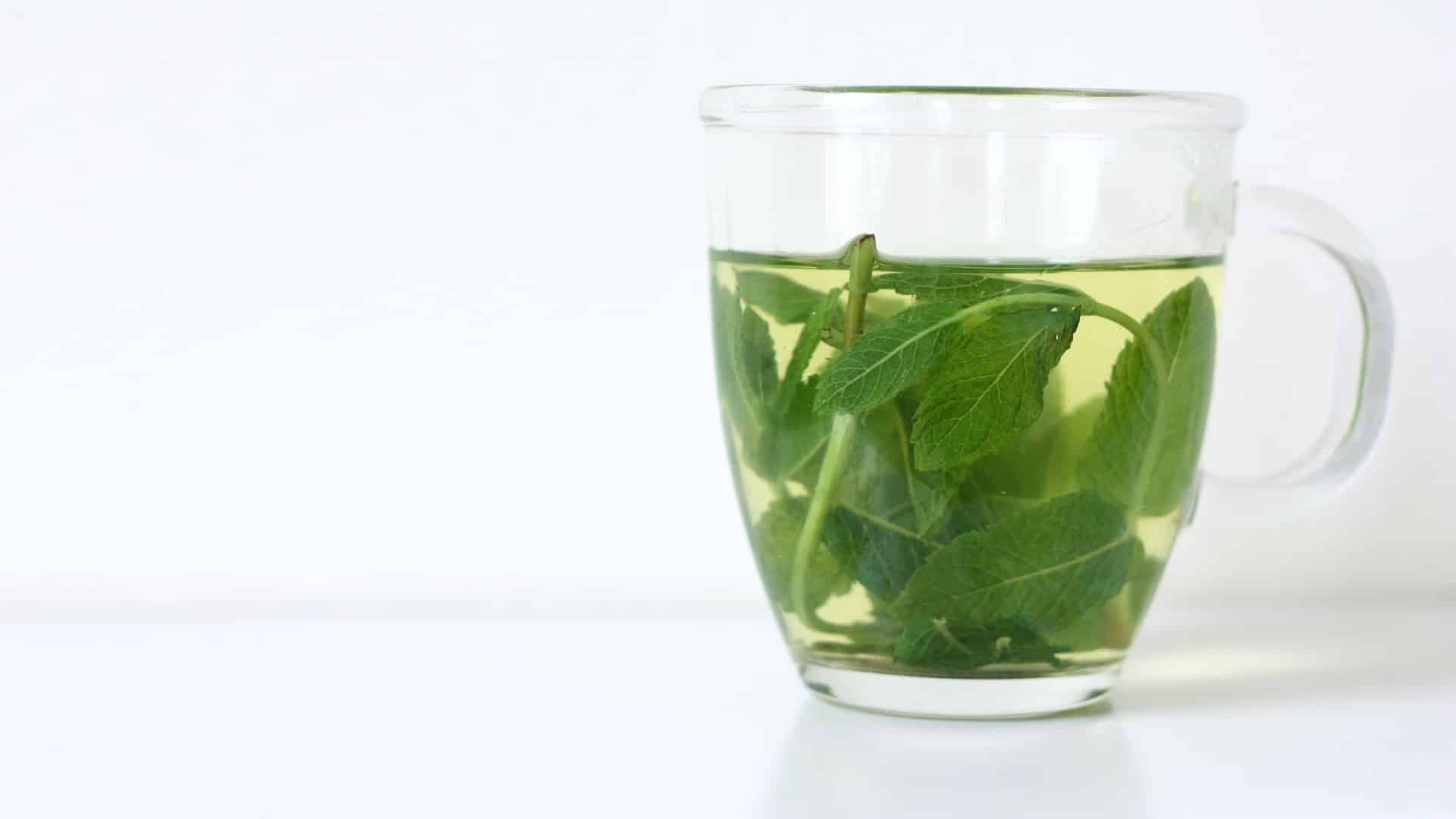 Peppermint Aromatherapy for Nausea