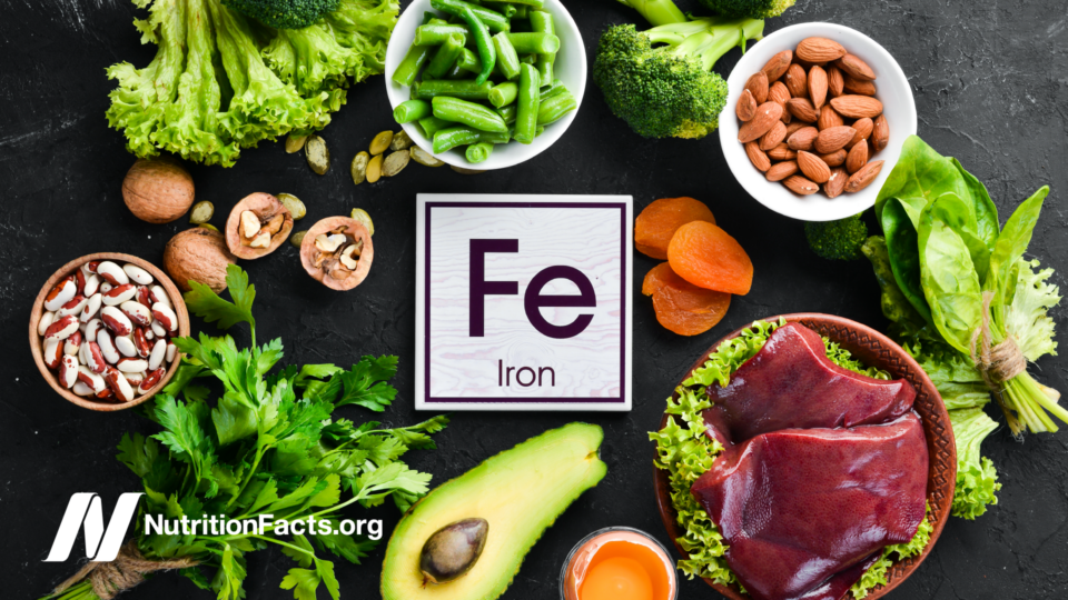 Heme Iron The Latest Research