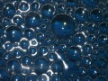 Putrefying Protein and “Toxifying” Enzymes
