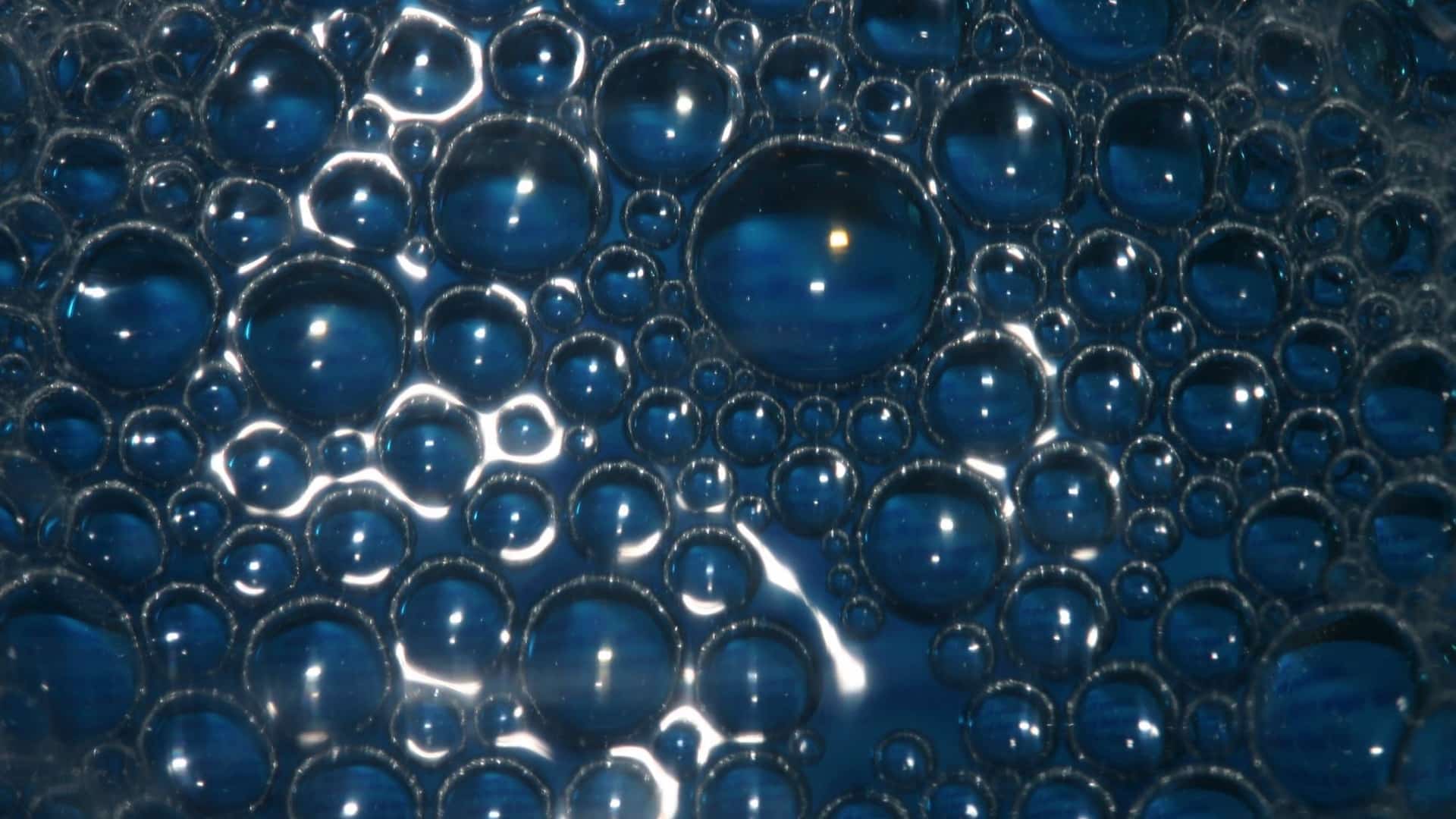 Putrefying Protein and “Toxifying” Enzymes