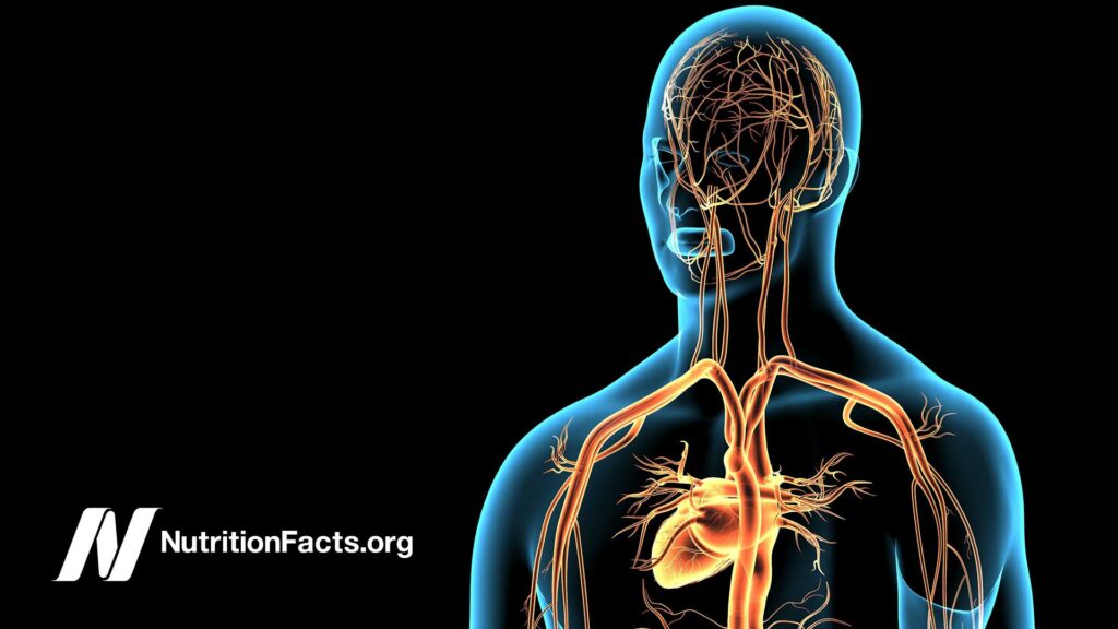 Nutrition for Optimal Artery Function