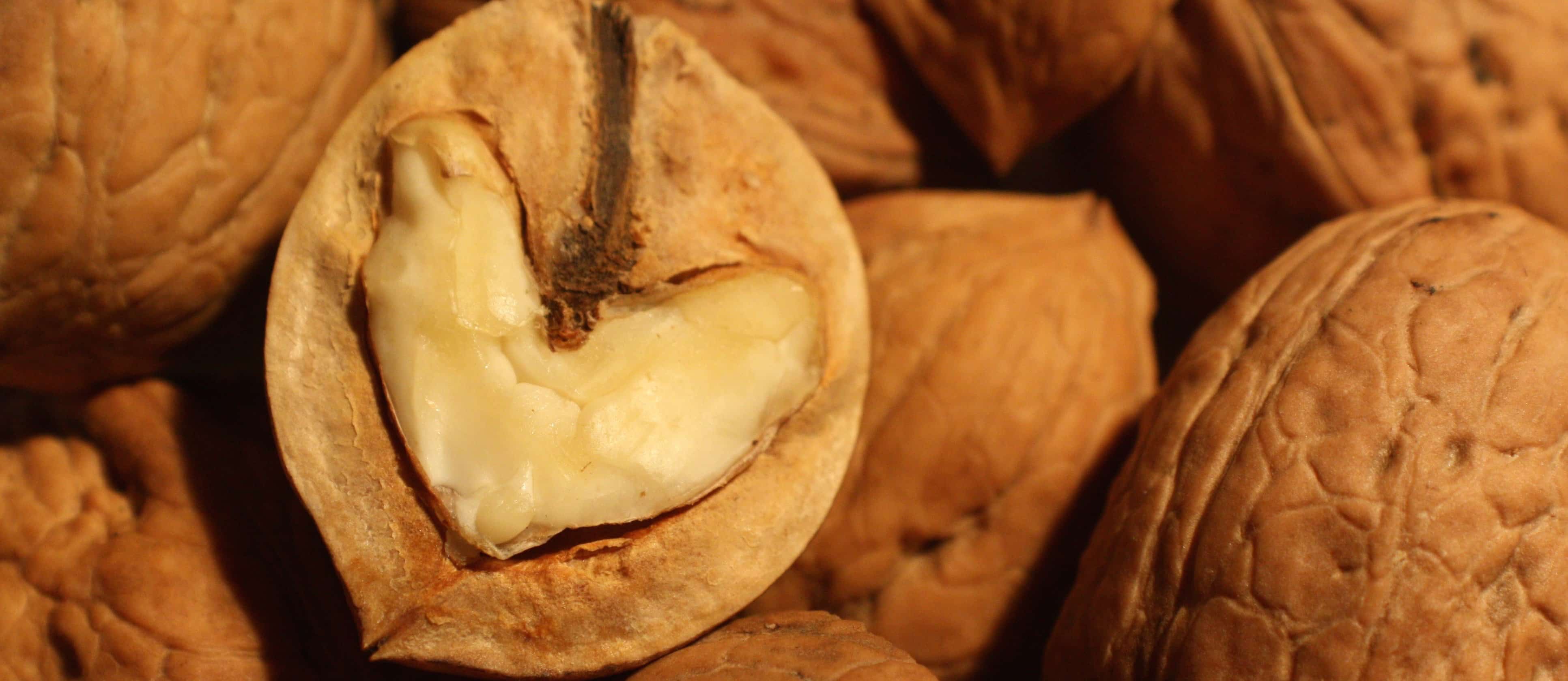 Do Walnuts Really Improve Artery Function