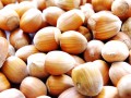 Do nuts and seed have a high acid load that could be bad for the kidneys?