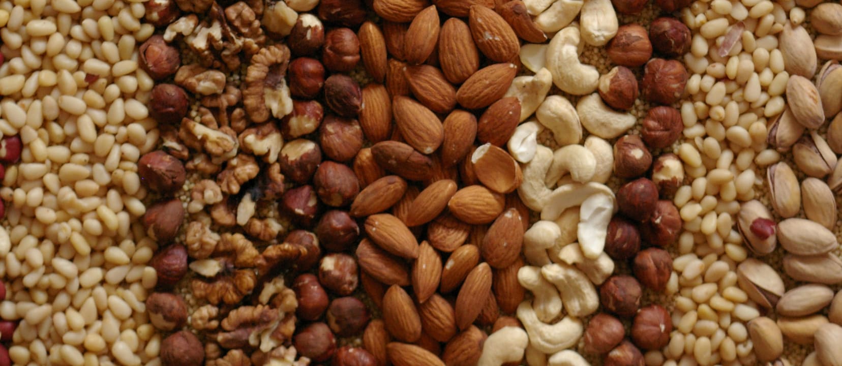 Which Nut Fights Cancer Better?