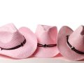 Industry Response to Bovine Leukemia Virus in Breast Cancer